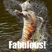 Profile Picture of Bryan Wetzel (@bryanwetzel) on Youtube