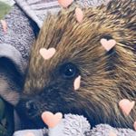 Profile Picture of Ruby Copeland (@ruby.copeland.902) on Instagram