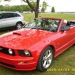 Steve Rozelle - Pinterest Profile Picture of Steve Rozelle (@steverozelle) on Pinterest