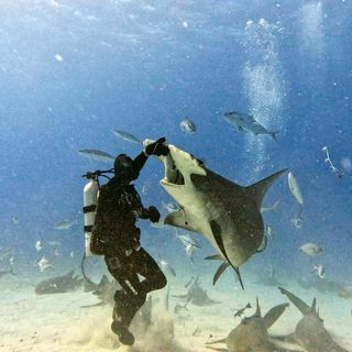 Profile Picture of Cory Finn (@cfinn1620) on Instagram