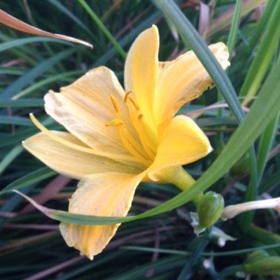 Profile Picture of Amanda Burak (@BurakAmanda) on Twitter