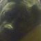 Profile Picture of Larry Tidwell (@larry.tidwell.716) on Facebook