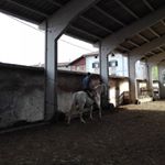 Profile Picture of David Aldaz (@aldatzekoracing) on Instagram