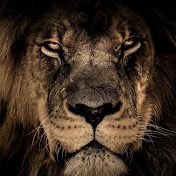 Profile Picture of Jacob Foy (@jacobfoy191) on Youtube