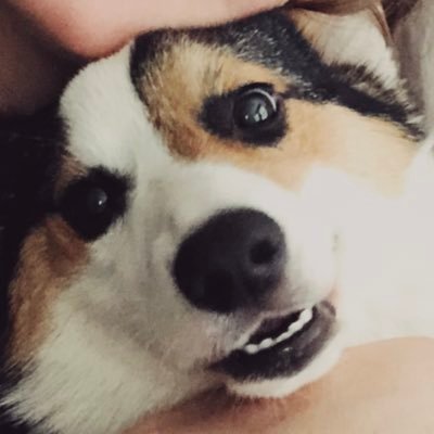 Profile Picture of Bradley Phillips (@Bradleysart) on Twitter