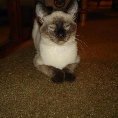 Profile Picture of James Black (@Bogus888) on Twitter