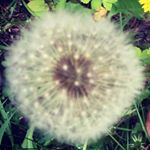 Profile Picture of Stephanie Major (@majorperspective) on Instagram