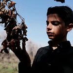 Profile Picture of 🍂🍁Alireza_sharifi🍁🍂 (@alireza_sharifi2187) on Instagram