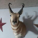 Profile Picture of Federico Valerio Contreras (@frederico_valerio_contreras) on Instagram