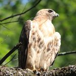 Profile Picture of Eric Lanctot (@eric.lanctot) on Instagram