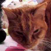 Profile Picture of Jessica Frank (@jessicafrank4083) on Youtube