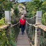 Profile Picture of Maureen Schäfer (@maureenschae) on Instagram