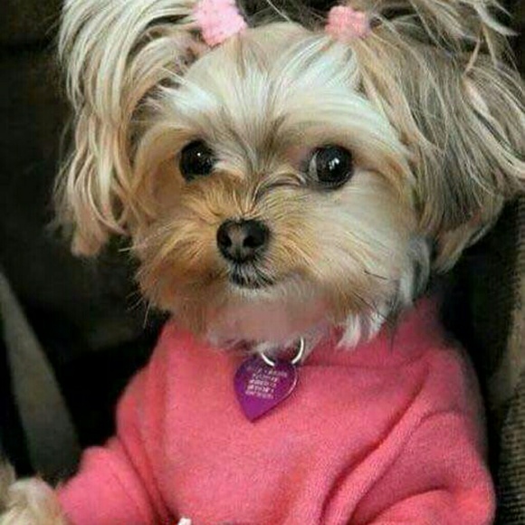 Profile Picture of Karen Fabry (@karenfabry1965) on Poshmark