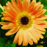 Profile Picture of Bill West (@bill.west09) on Instagram