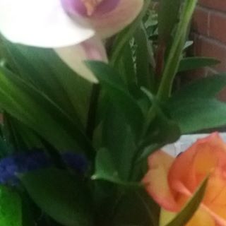 Profile Picture of Alba Carvajal (@alba.carvajal.908) on Facebook