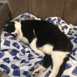 Profile Picture of Mike Lusk (@mrmikeinsac) on Instagram