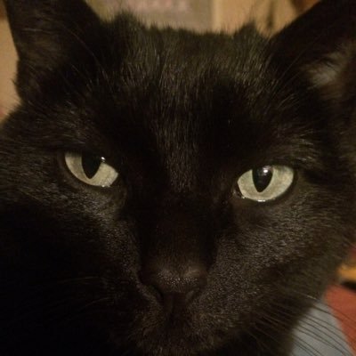 Matthew Hucke - Twitter Profile Picture of Matthew Hucke (@HuckeMatthew) on Twitter