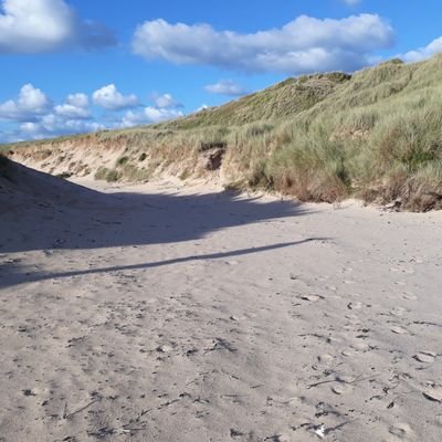 Profile Picture of Anne Keeling (@AnneKeeling2) on Twitter