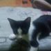 Profile Picture of David Aiman (@david.aiman.902) on Facebook