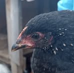 Егор Крючков - Facebook Profile Picture of Егор Крючков (@Егор-Крючков) on Facebook