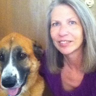 Profile Picture of Chris Cliffe (Politte) (@chris.cliffe.31) on Facebook