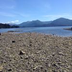 Profile Picture of Josh (@josh.corderoo) on Instagram