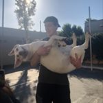 Profile Picture of Kevin DeVore (@pawz.pals) on Instagram