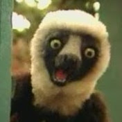 Profile Picture of Alex Purcell (@alexpurcell6784) on Youtube