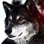 Profile Picture of Wade Fleming (@wade.fleming.58) on Instagram