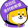 Profile Picture of Bei Zhao (@@atzhao) on Tiktok