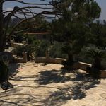 Profile Picture of Adam Sadek (@adam__sadek) on Instagram