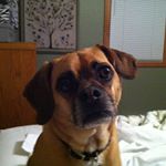 Profile Picture of Kathy DelDuchetto (@kathydelduchetto) on Instagram