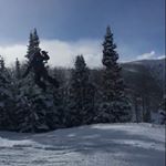 Profile Picture of David Fleck (@davidfleck_) on Instagram