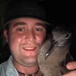 Profile Picture of Andrew Burchell (@electricseagulls) on Instagram
