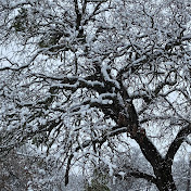 Profile Picture of Christopher Daugherty (@Chancelyn7780) on Youtube