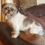 Profile Picture of Michelle Guy (@michelle.guy.75) on Instagram