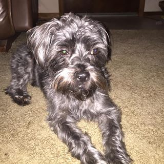 Profile Picture of Joyce Henshaw (@Joyce-Henshaw) on Facebook