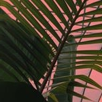 Profile Picture of W O A H (@keitharoni_kheese) on Instagram