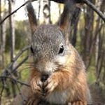 Profile Picture of HORTON (@hortonjunes1mn) on Instagram