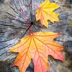 Profile Picture of Alfin Vander Muhamat (@maygret.duexmarkamare) on Facebook