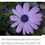 Profile Picture of Debra McGrath (@dbrmcgrath) on Instagram