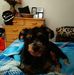 Profile Picture of Christel Piotrowski (@christel.piotrowski.7) on Facebook