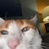 Profile Picture of Elisabeth (@@elisabethtrask) on Tiktok