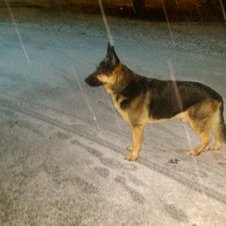 Andy Hogarth - Twitter Profile Picture of Andy Hogarth (@AhHogarth) on Twitter