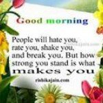 Profile Picture of Robin Couch (@robincouch) on Instagram