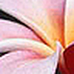 Profile Picture of Danielle Baxter (@danielle c baxter) on Flickr