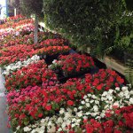 Profile Picture of Paul Pulley (@wppulley) on Instagram