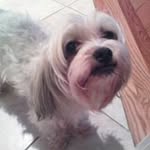 Profile Picture of Austin Sturm (@sturmaustin) on Instagram