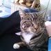 Profile Picture of Vicki McDougall (@vicki.mcdougall.35) on Facebook