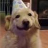 Profile Picture of Joshua Olsen (@@joshuaolsen6) on Tiktok